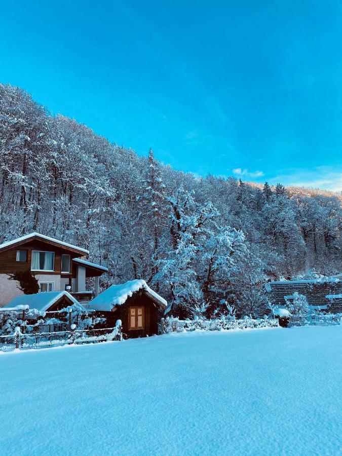 Chalet Happy Family, Secluded Location, 15 Min To Salzburg And Just Short To T Lakes Sound Of Music, Bbq&Bikes&Sunbeds For Free, Up To 14P 골링안데살자흐 외부 사진